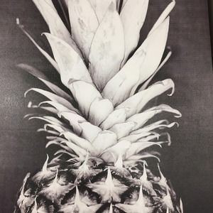 Meet your Posher, Rj